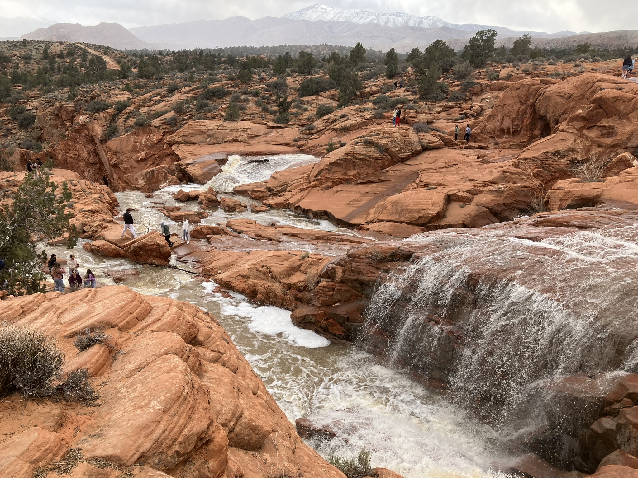 Desert Landscapes